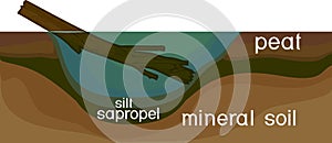 Sapropel and peat in nature.